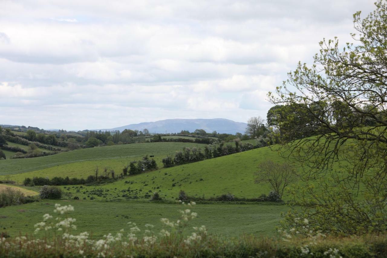 Alices Loft & Cottages Castleblayney Bagian luar foto